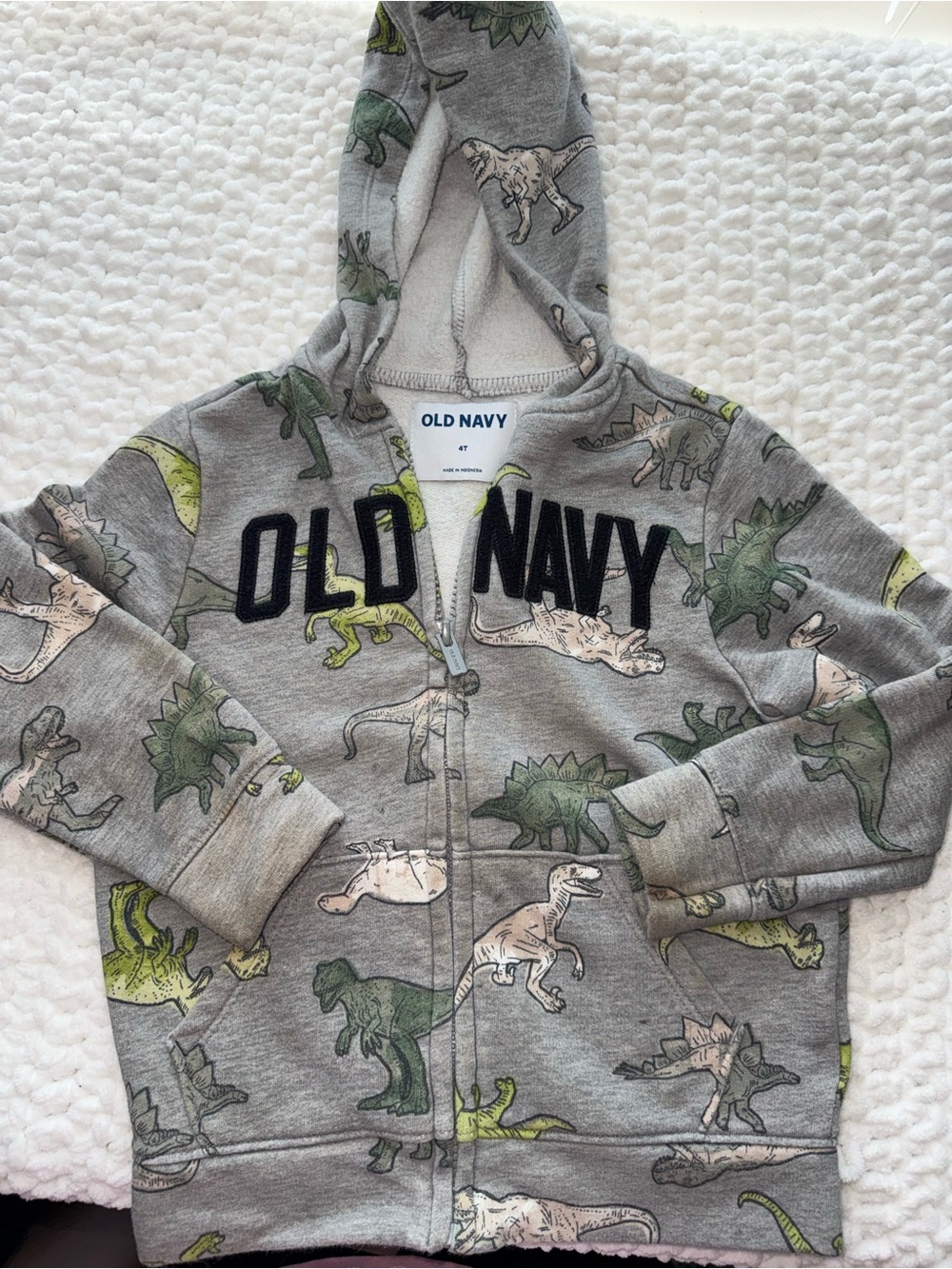 Old Navy Gray Dinosaur Zip Hoodie with Green & Cream Accents